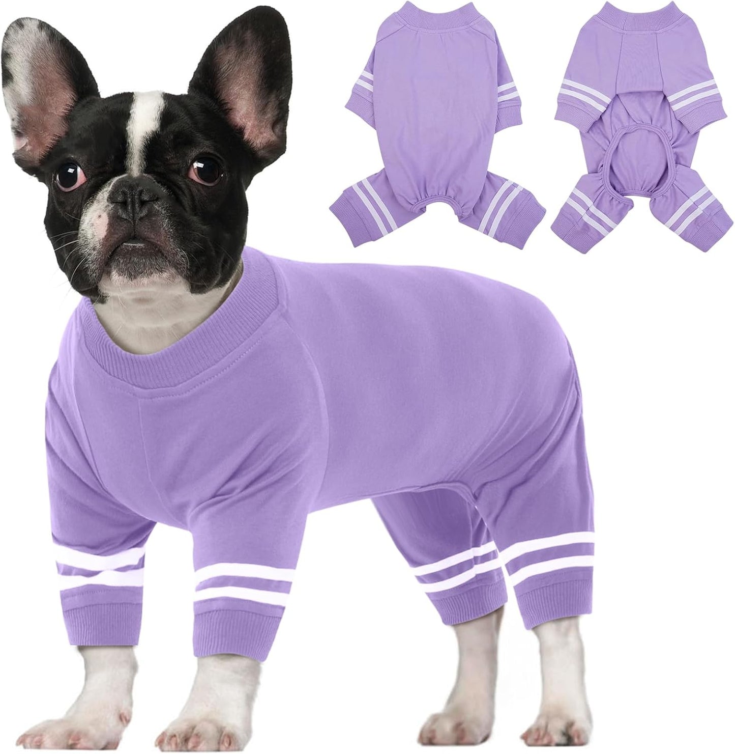 Warm jumpsuit for small dogs – size XS, color purple, cozy pyjamas with four legs, ideal for indoors and winter days