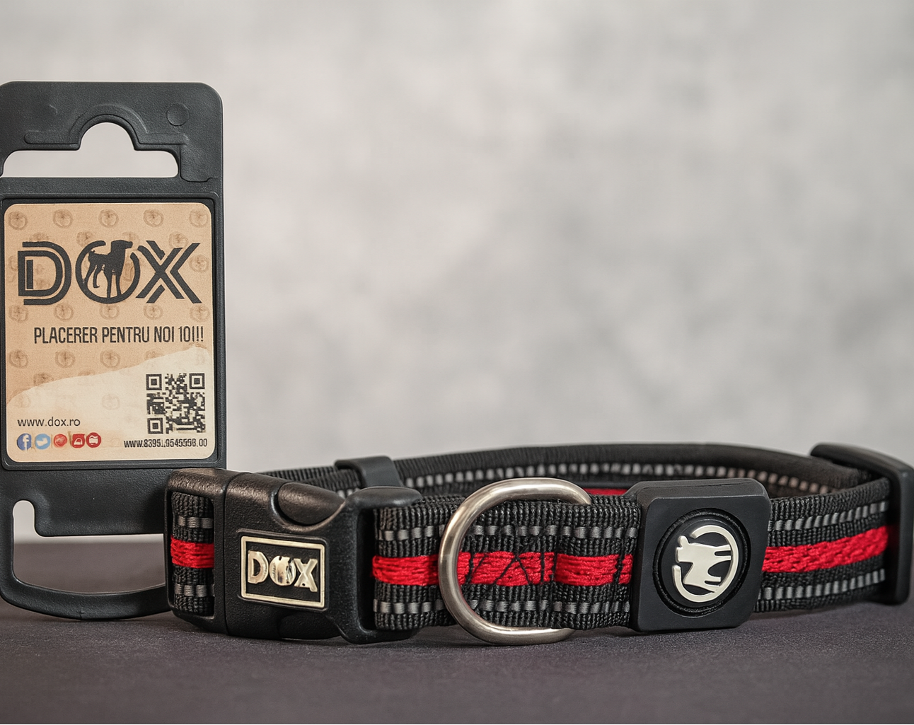 Air Mesh Padded Dog Collar, Adjustable, Size S, For small and medium sized dogs