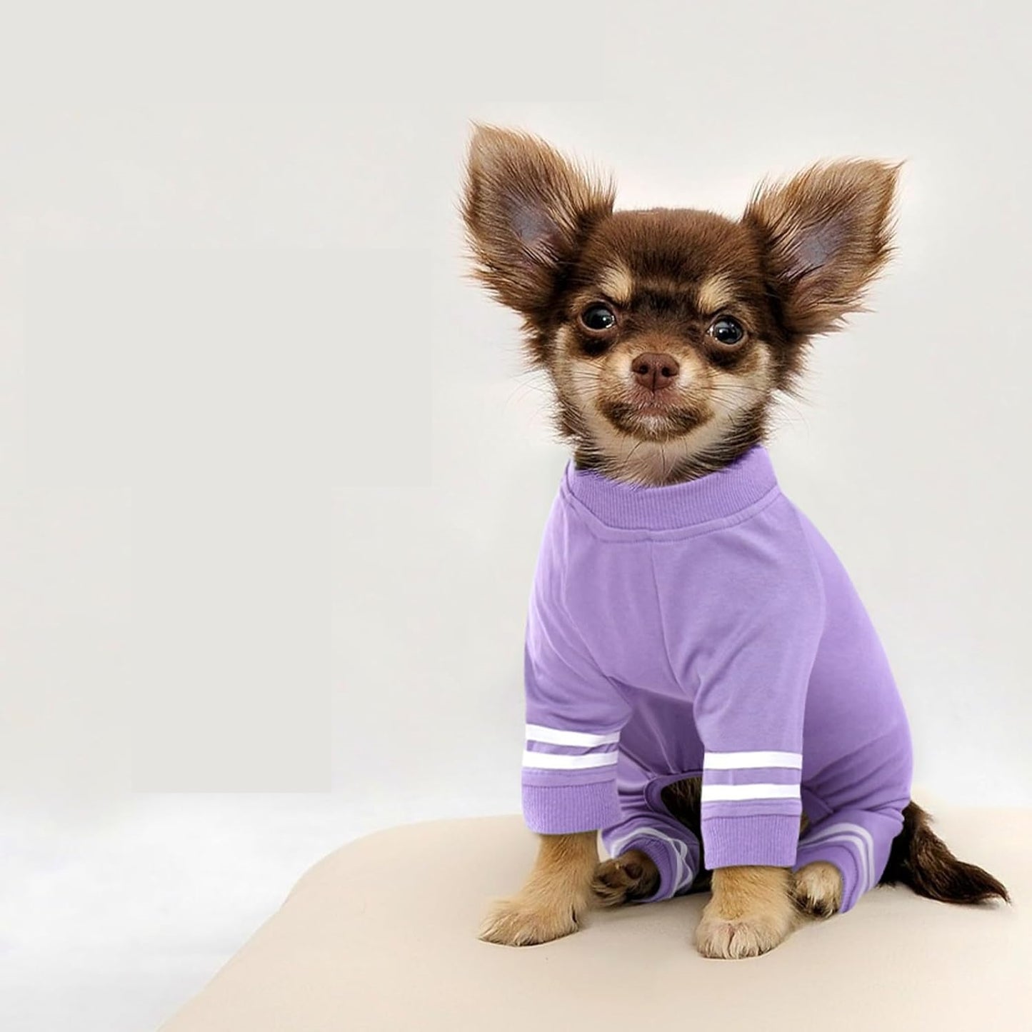 Warm jumpsuit for small dogs – size XS, color purple, cozy pyjamas with four legs, ideal for indoors and winter days