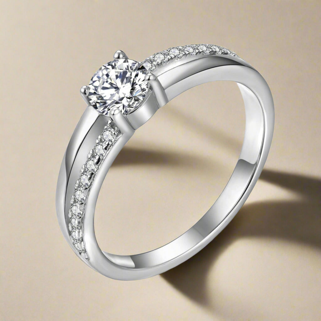 Zilveren Ringen